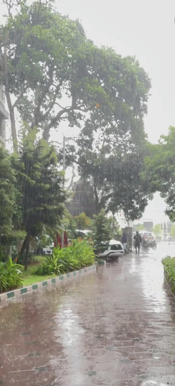Bengaluru Rains: Rain Brings Relief From Heat, Traffic Disrupted In Several Areas