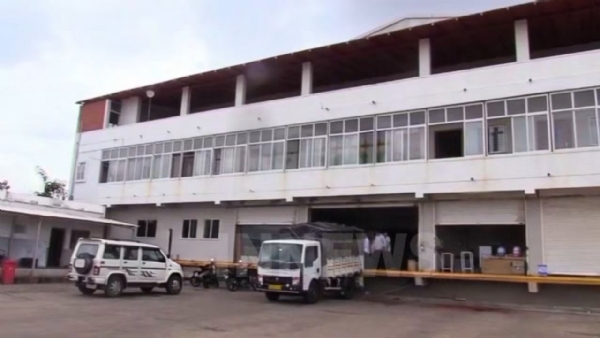 ಬಂಪರ್ ದ್ರಾಕ್ಷಿ