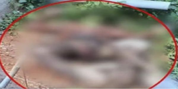ಬೆಂಗಳೂರಲ್ಲಿ ಸುಟ್ಟ ಸ್ಥಿತಿಯಲ್ಲಿ ಕೆಎಸ್ಆರ್ ಪಿ ಕಾನ್ಸ್ಟೇಬಲ್ ಶವ ಪತ್ತೆ: ಆತ್ಮಹತ್ಯೆ ಶಂಕೆ
