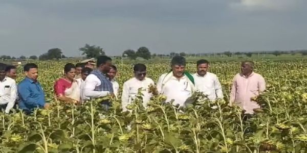 ಹುನಗುಂದದಲ್ಲಿ ಬರ ಪರಿಸ್ಥಿತಿ ವೀಕ್ಷಿಸಿದ ಸಿಎಂ ಡಿ.ಕೆ. ಶಿವಕುಮಾರ್