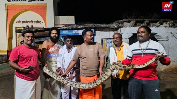 ಹಾವು